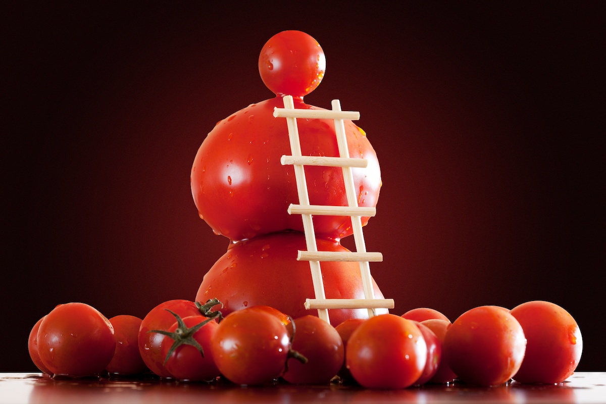 トマト苗の選び方【理想の苗のステージ】