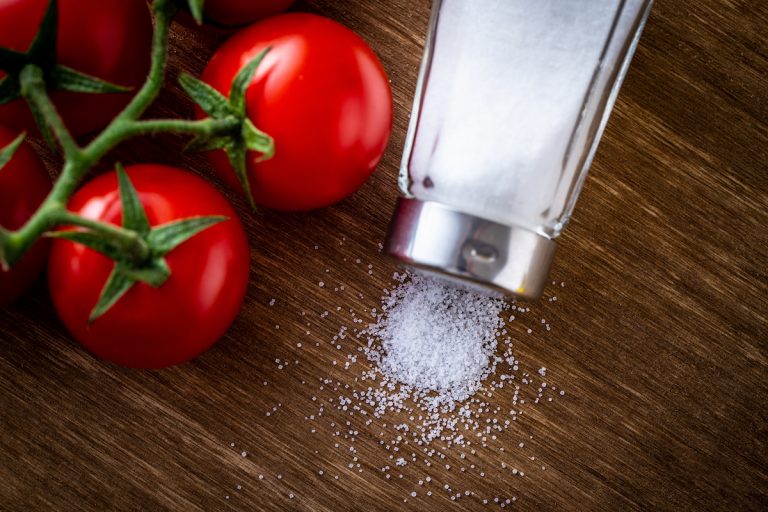 オススメ トマト栽培で塩水灌水 簡単糖度アップの方法