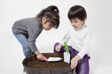 トマト栽培でプランターを使う時の追肥のコツ