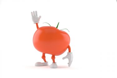 【保存版】トマトの栽培初心者のよくある質問集めました！