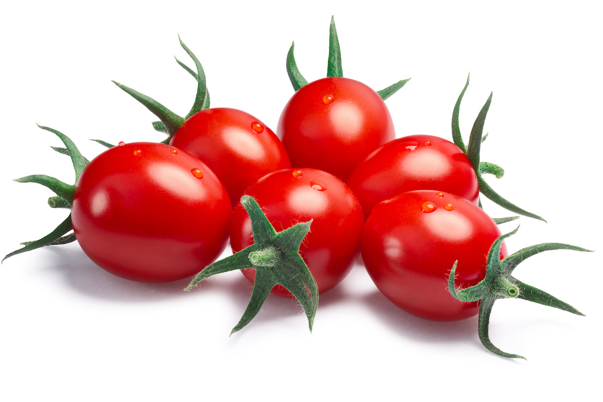 アイコトマトの品種特徴