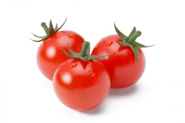 プロ向けミニトマト「TY千果」の特徴と育て方【収穫量を増やすコツも解説】