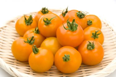 オレンジミニトマト「オレンジ千果」の特徴と育て方【収穫量を増やすコツも解説】