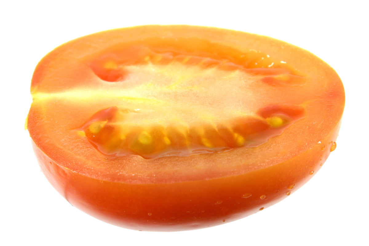 アイコは裂果に強いトマト品種