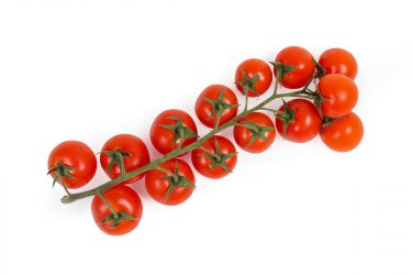 ミニトマト「CF小鈴」の特徴と育て方【収穫量を増やすコツも解説】