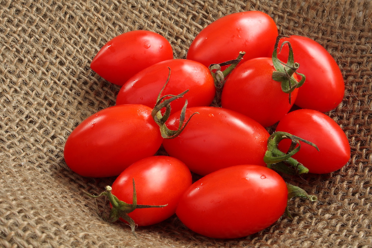 アイコトマトの苗、種子の購入方法