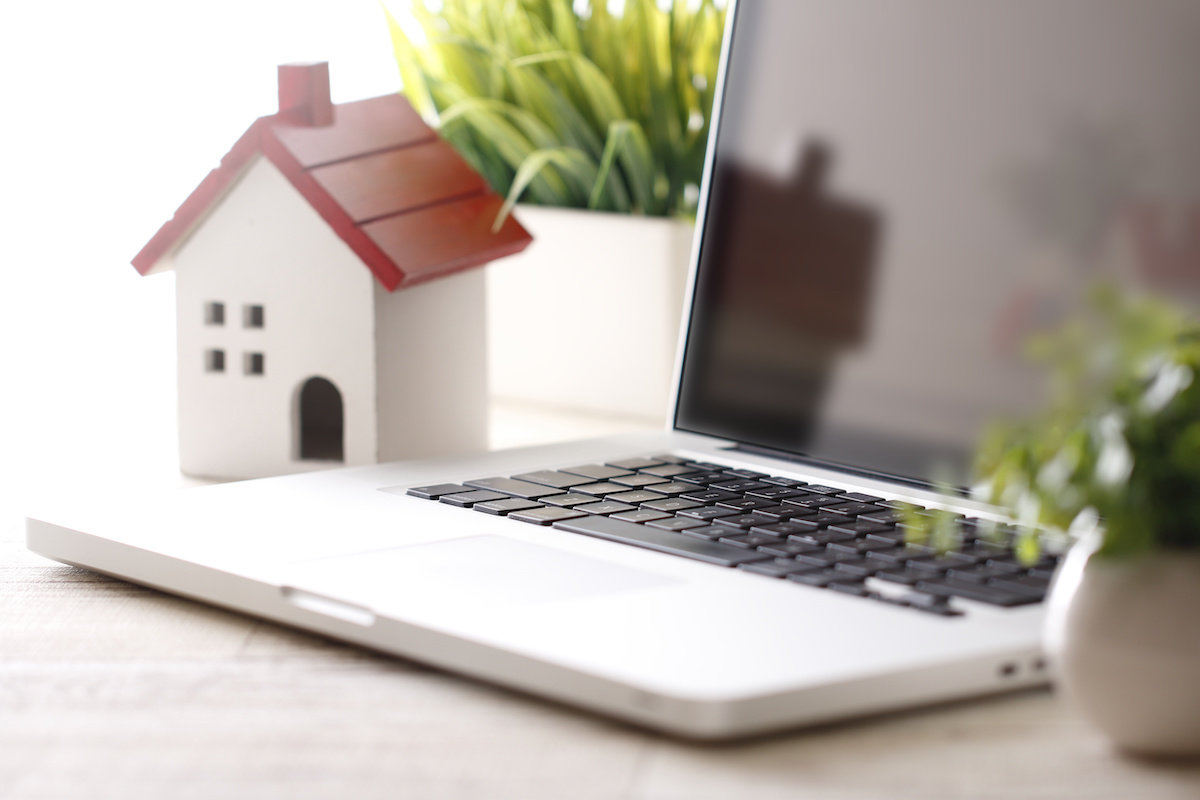 夏秋トマト「桃太郎なつみ」の苗、種子の購入方法