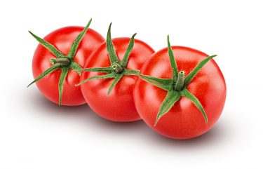 「桃太郎サニー」の特徴【作りやすい夏秋トマト】