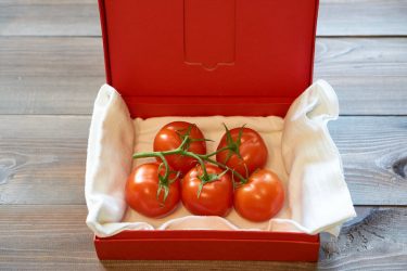 【中玉品種の特権】房付きトマトの栽培方法【収穫後の追熟が大事】