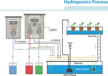 トマト水耕栽培用の肥料のはなし【まずはこれだけおさえよう！３つの大事なポイント】